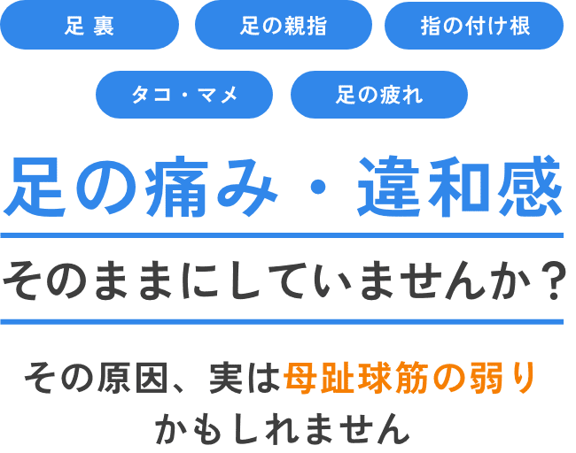 足の痛み・違和感 そのままにしていませんか？ その原因、実は 母趾球筋の弱りかもしれません