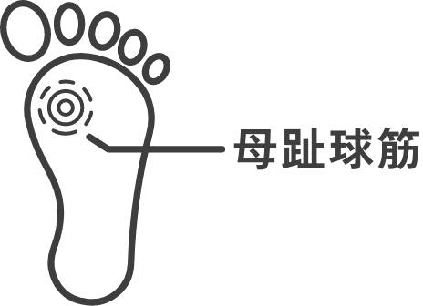 母趾球筋